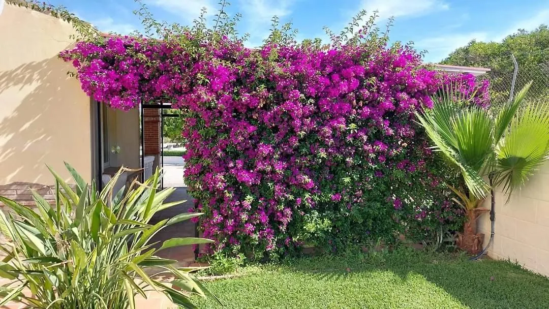 Casa Oliva Bed & Breakfast Alhaurin el Grande