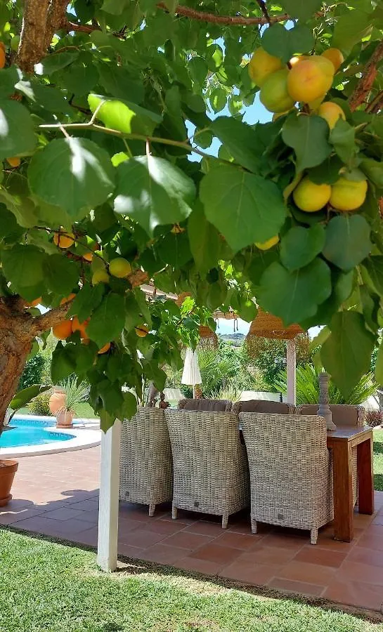Casa Oliva Bed & Breakfast Alhaurin el Grande
